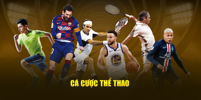 Giới thiệu về sảnh thể thao King88