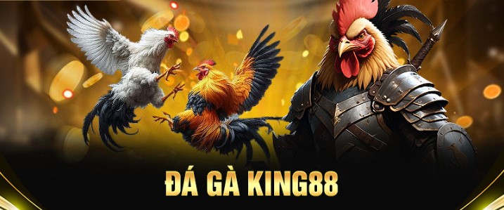 Tổng quan về đá gà King88