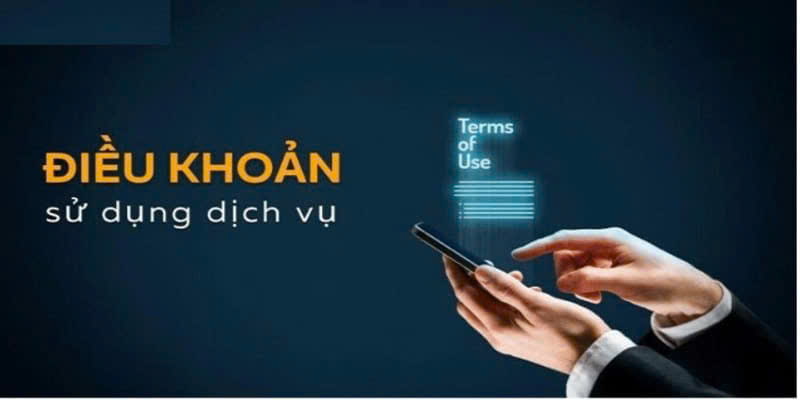 Điều khoản sử dụng người tham cần phải nắm vững