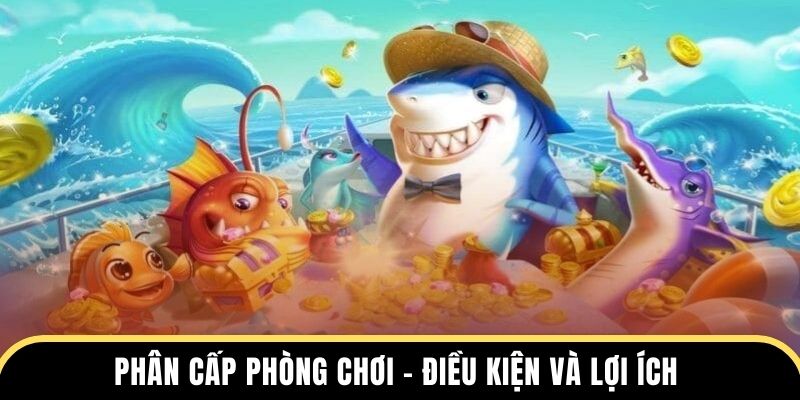 Phân cấp phòng chơi - Điều kiện và lợi ích cho người tham gia