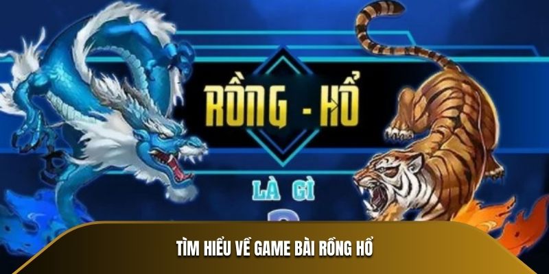 Tìm hiểu về game bài Rồng Hổ