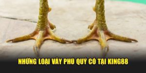 vảy tam tài tứ quý